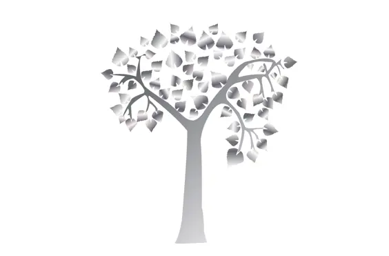 SilverBirch Healthcare Ltd - A company logo