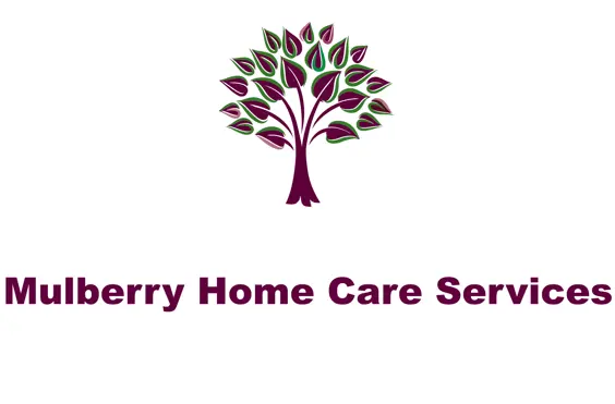 Mulberry Home Care Services Limited - A company logo