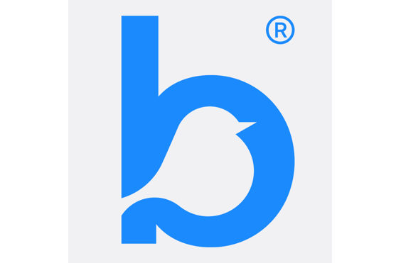 Bluebird Care (Stroud and Cirencester) - A company logo