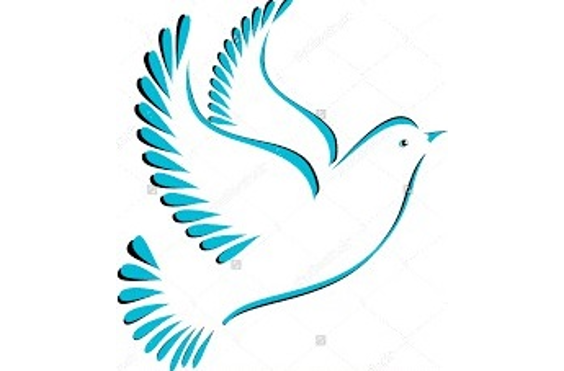 New Doves Care - A company logo