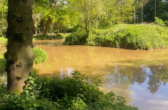 Woodcote Hall - outside view of care home