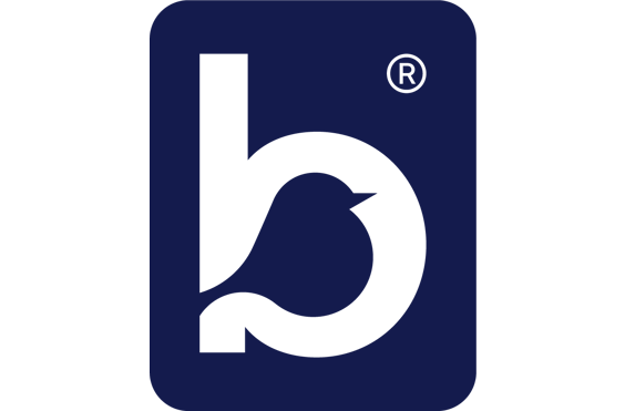 Bluebird Care Coventry - A company logo