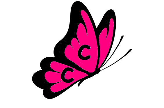 Complete Care (S.W) Ltd - A company logo