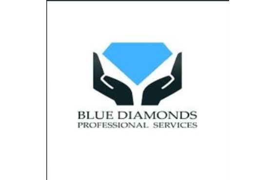 Blue Diamonds Professional Services Limited Office - A company logo