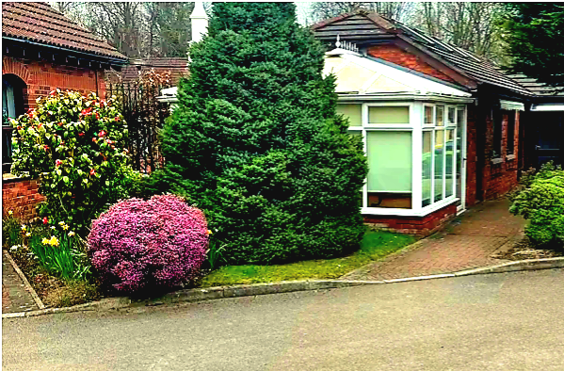 The Croft Nursing Home (Barrow) - Photo of the garden where applicable