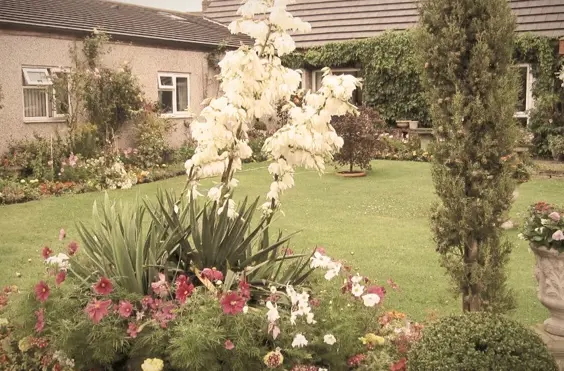 Eden Cottage Care Home - outside view of care home