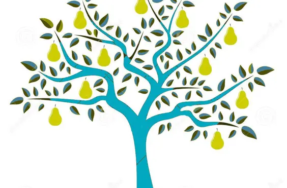 Pear Tree Residential Care Home - outside view of care home