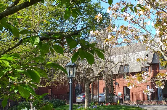 Tyspane - outside view of care home