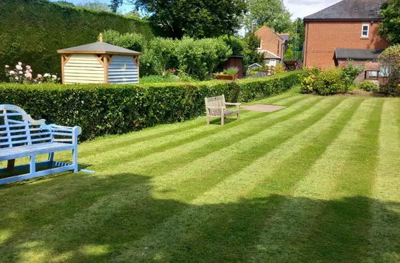 Mandeville Grange Nursing Home - outside view of care home