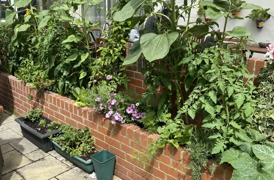 Z & M Care Limited -12 Lyndhurst Road - outside view of care home