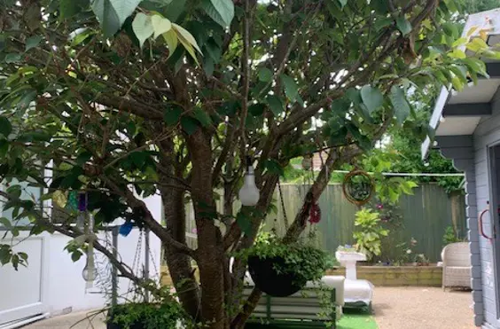 Elreg House - outside view of care home