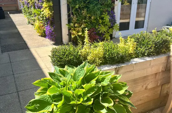 Blossom House - Photo of the garden where applicable