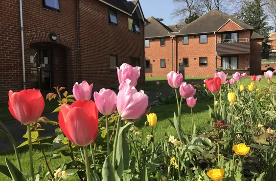 Whitgift House - outside view of care home