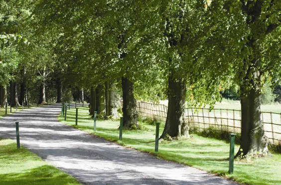 Scalford Court Care Home - outside view of care home