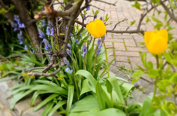 Bourne Hill Care Home - outside view of care home