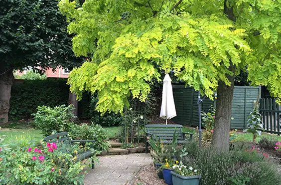 Avens Limited - outside view of care home