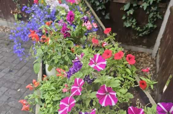 Philia Lodge Rest Home - outside view of care home