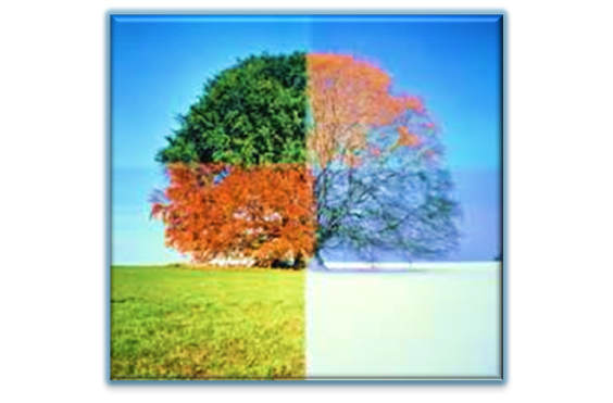 A PL+US Caring Service - A company logo