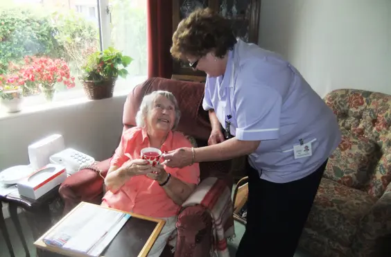 Lavender Support Services Ltd - An additional photo