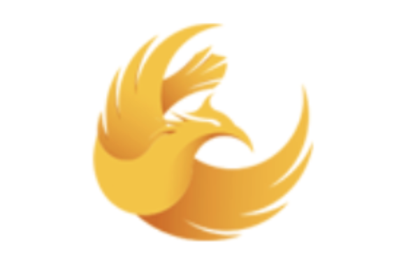 Phoenix Support Ltd - A company logo