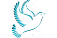 New Doves Care - A company logo