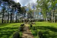Photo of the garden where applicable