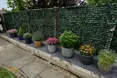 Photo of the garden where applicable