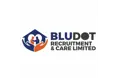 Bludot Recruitment and Care Limited - A company logo