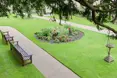 Photo of the garden where applicable
