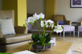 Photo of the lounge area