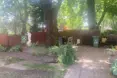 Photo of the garden where applicable