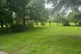 Photo of the garden where applicable