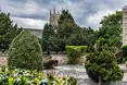 Photo of the garden where applicable